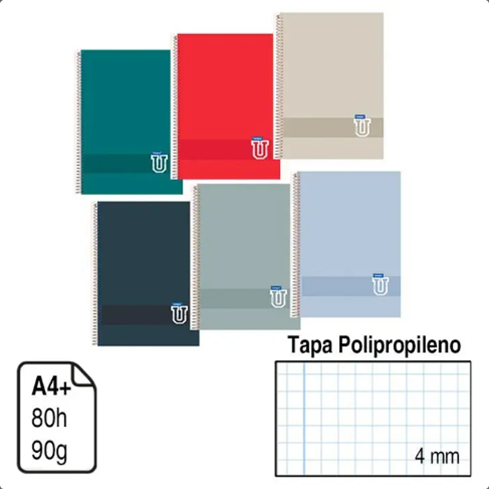 Cuadernos Campus A4 Tapa Polipropileno Cuadricula 4mm Colores,pack de 6 uds